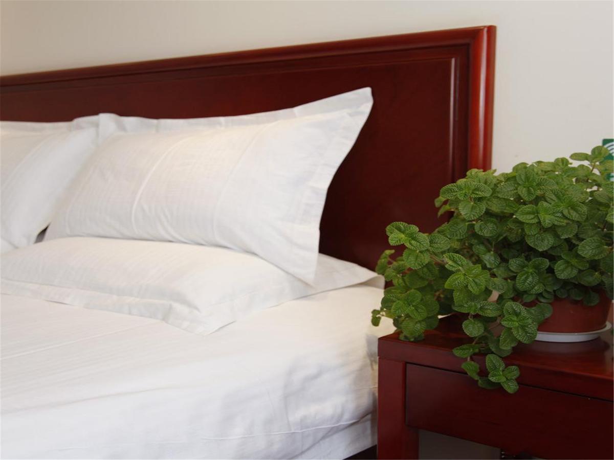 Greentree Inn Beijing Daxing Huangcun Qingyuan Road Metro Station Express Hotel エクステリア 写真